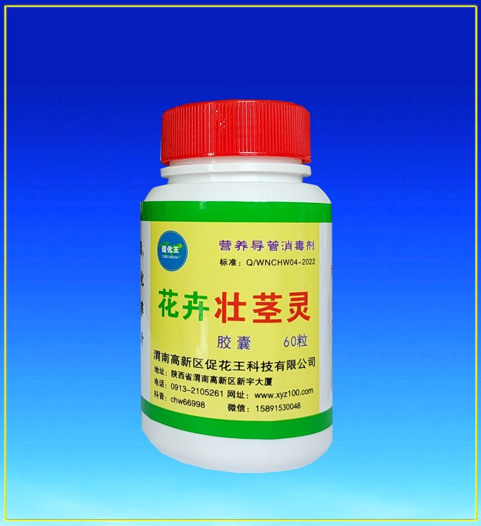 花卉.jpg 花卉.jpg