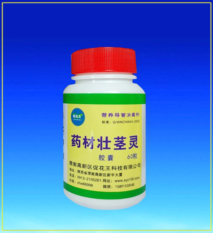 藥材壯莖.jpg 藥材壯莖.jpg