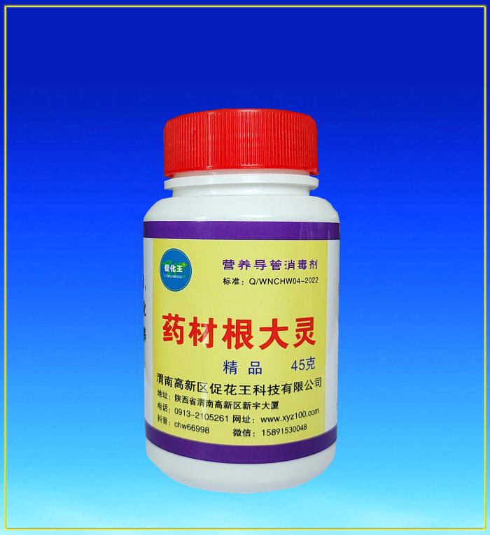 藥材根大1.jpg 藥材根大1.jpg